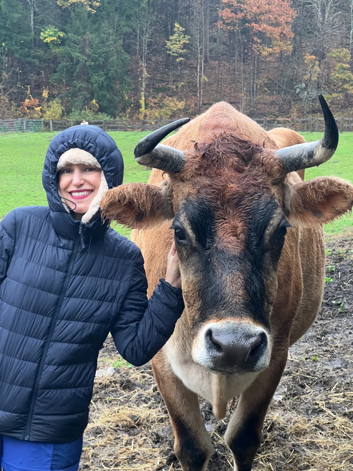 Cheryl sharing a gentle moment with a brown cow