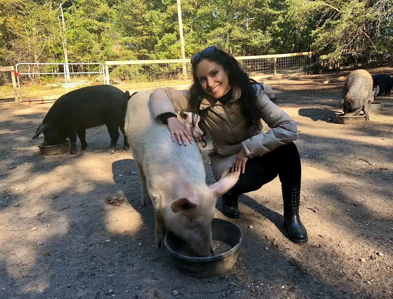 Cheryl gently petting a pig during a sanctuary visit